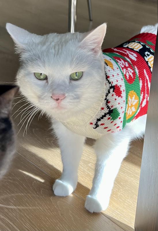 Princess is upset she’s no longer an XS but aren’t we all. 🤣