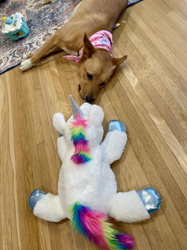 Staring into the eyes of her new love