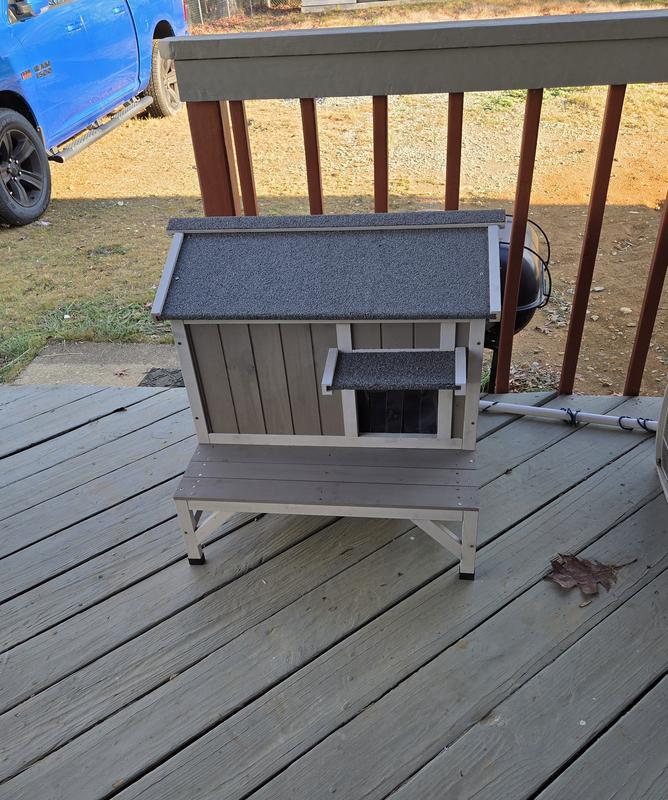 Cat House for Strays