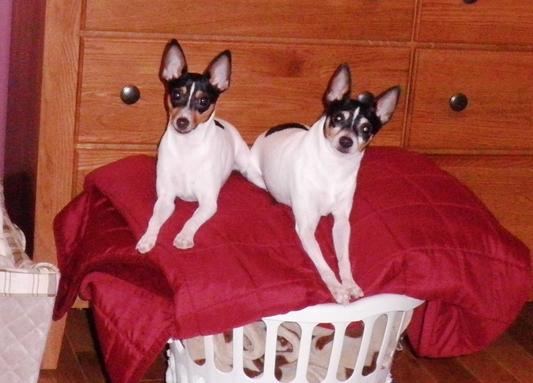 Jake & Hank