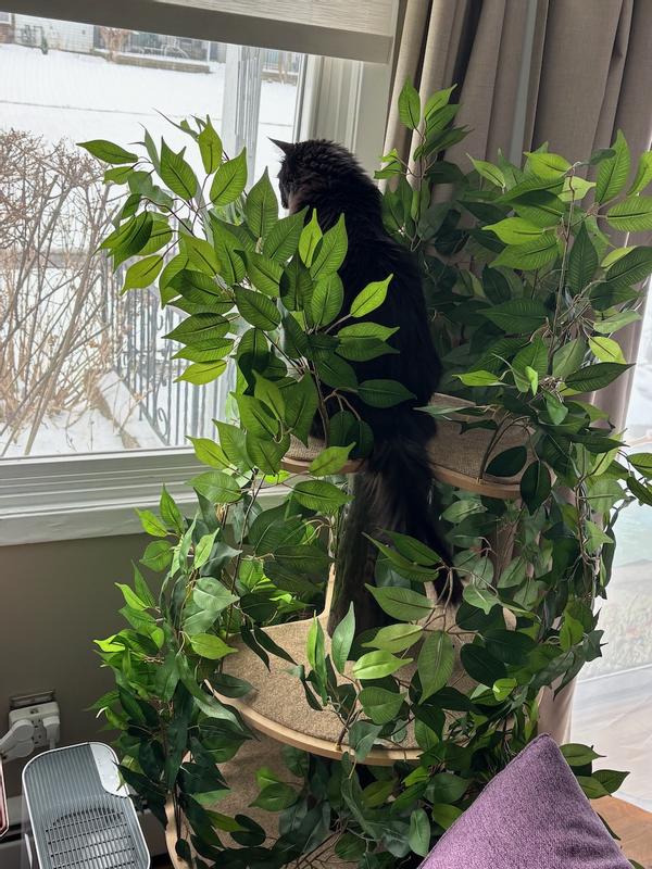 On2Pets 60-in Large Round Modern Cat Tree