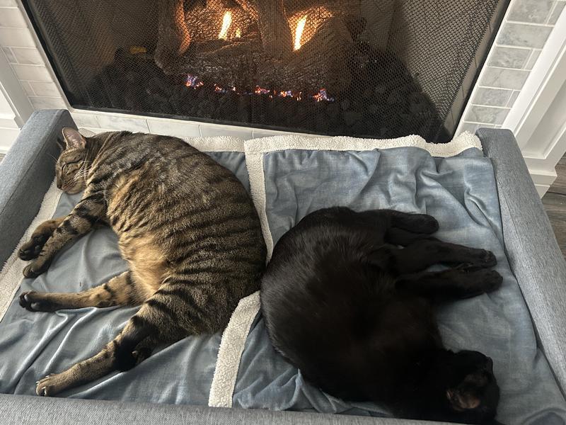Enjoying fireplace time