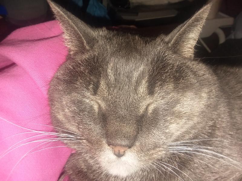 "I said no flash, please!"