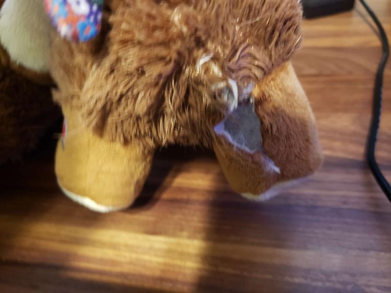 Short + Ripped Leg