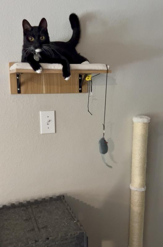 Just Hanging Out up here!