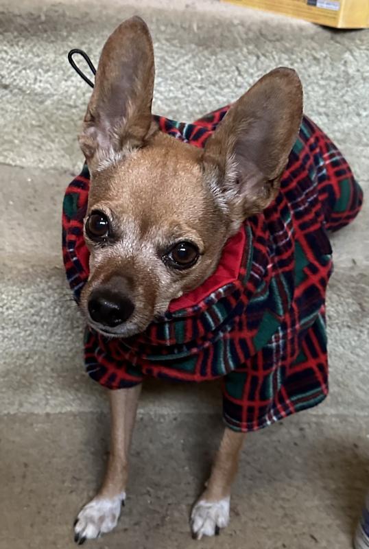 Comfy fit cozy fabric for cold days