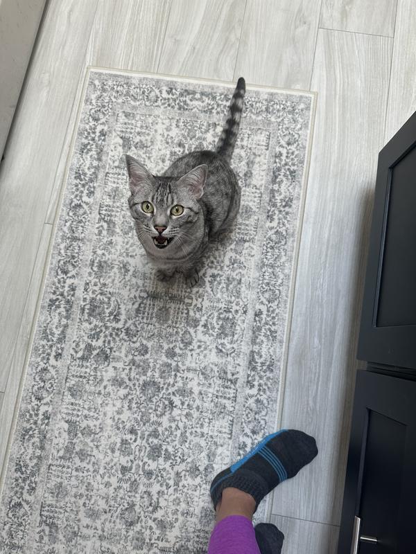 Full and satisfying breakfast!