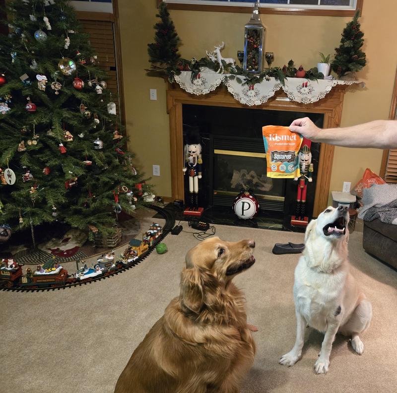 Anticipation