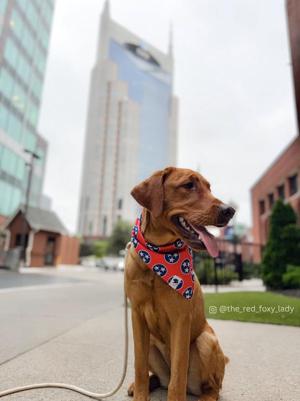 TN TriStar bandana in front of Batman Bldg Nashville