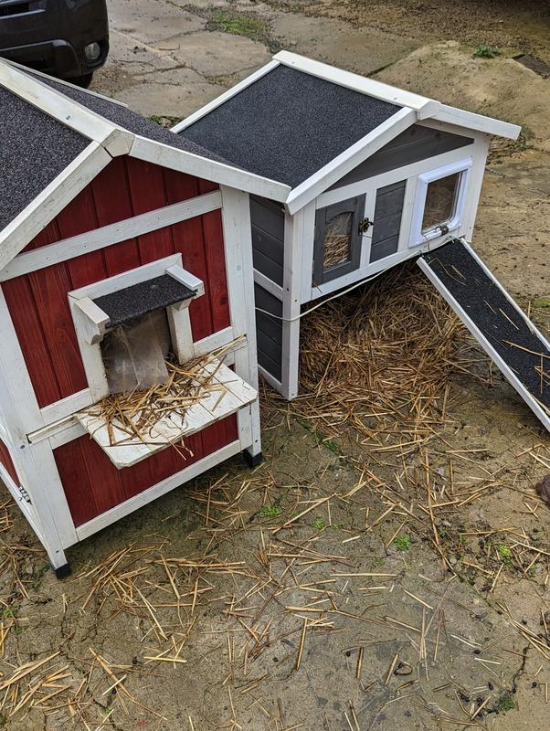 Great spot for feeding and fish is sheltered from weather