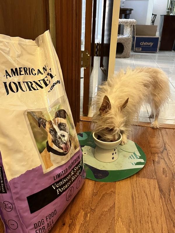 Chewy american on sale journey dog food