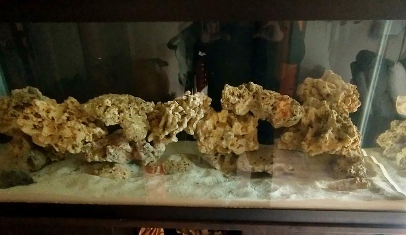 Caribsea Ocean Direct Live Sand, Sabbia per acquario marino