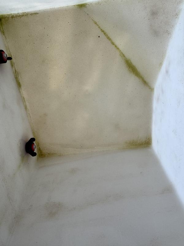 See the algae in this one that is exposed to light.