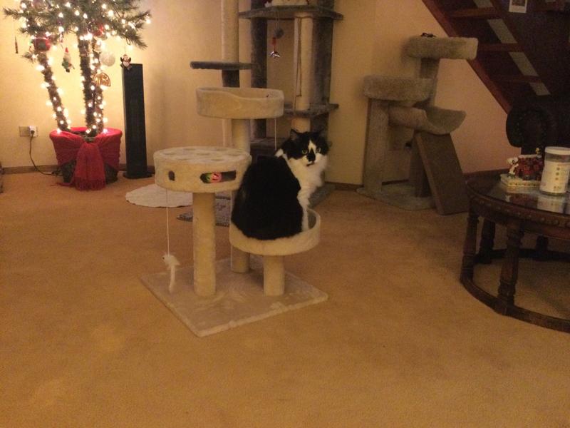 This is too small for me, Mom!