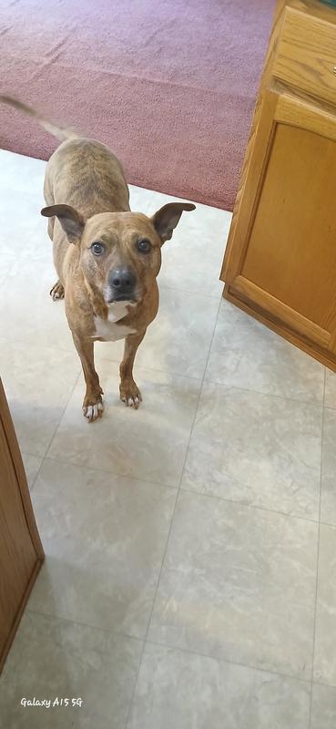 His tail is just wagging when I pulled the can out