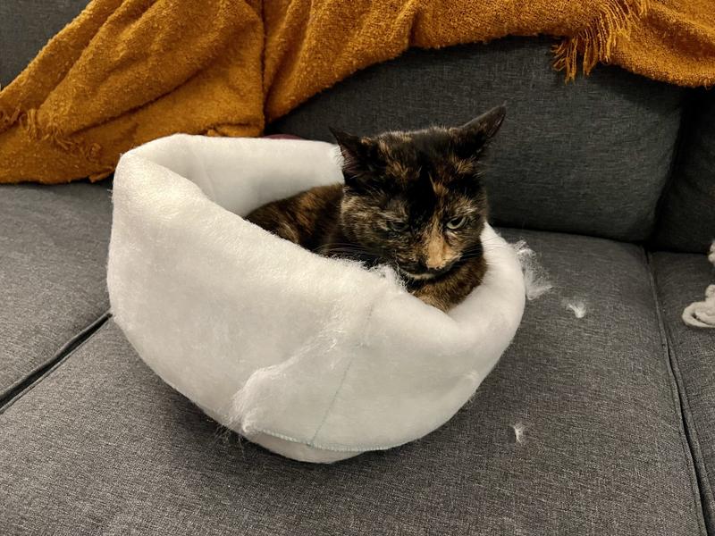 She already started destroying it.