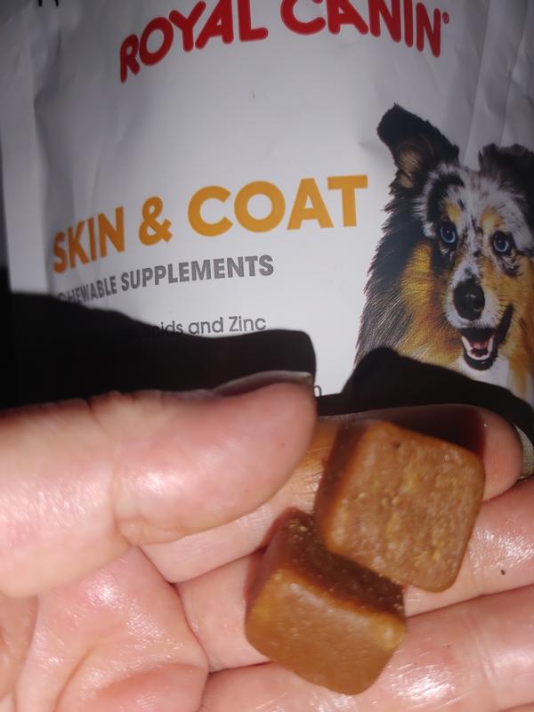 Royal Canin Skin & Coat Chewable Supplements