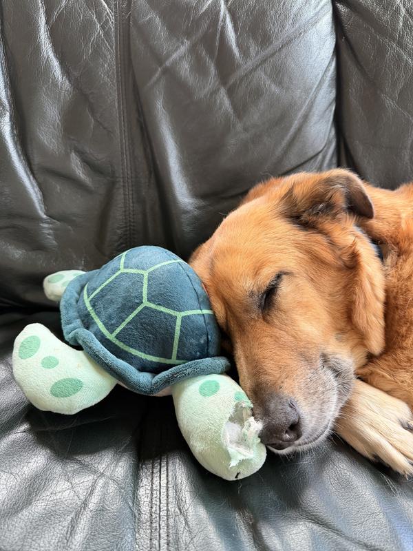 A week later, he really likes it and no further damage has been done