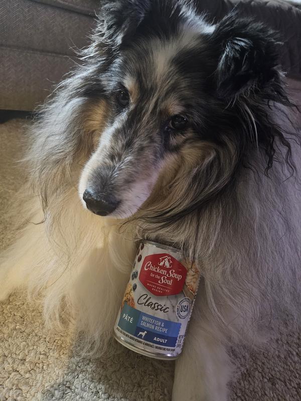 Gibbs doing a Product Placement