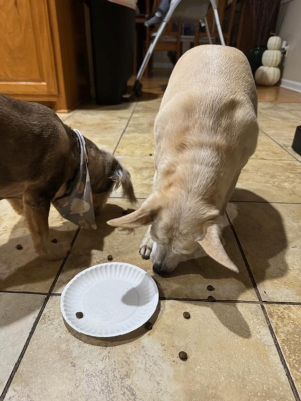 Clean plates in minutes!