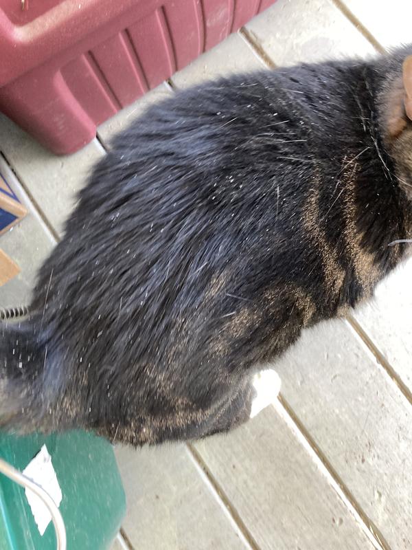 Before using product