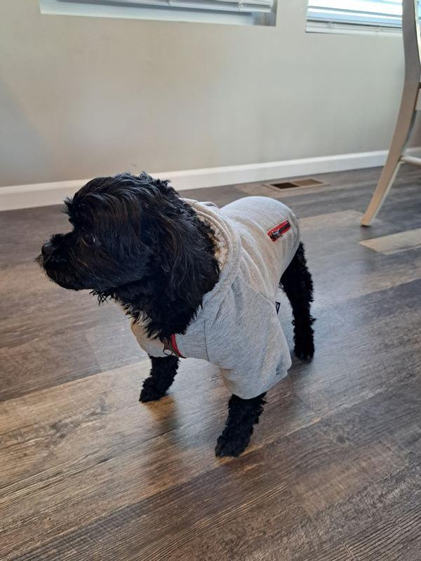FRISCO Sweatshirt Fleece Dog & Cat Hoodie with Sherpa Lining, X-Large ...