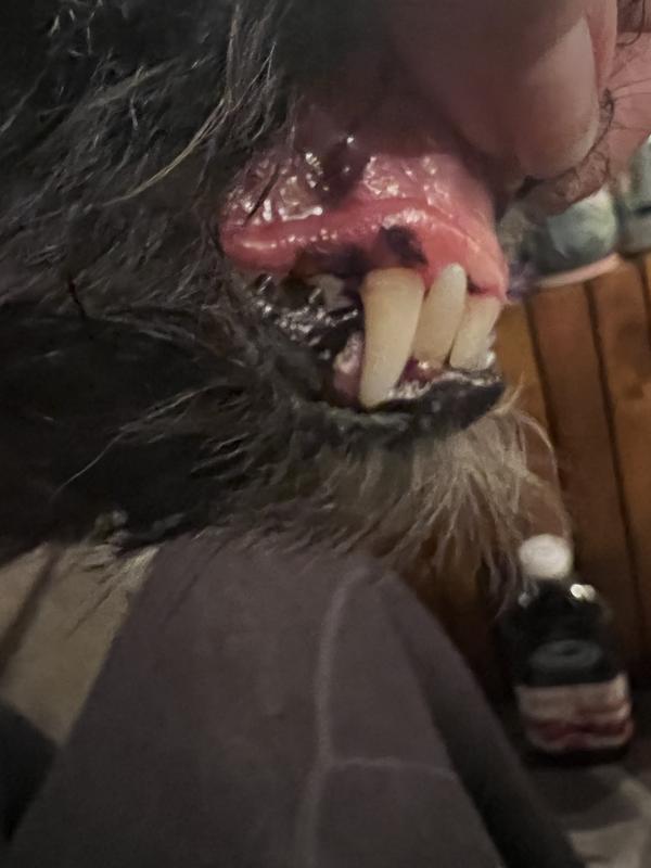 I wish I had a before pic