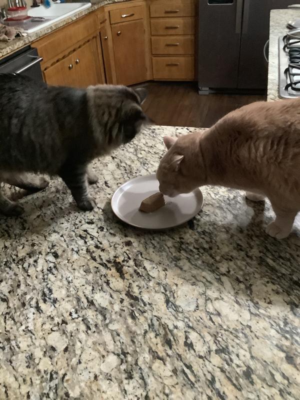 Big brother didn’t want to miss out!