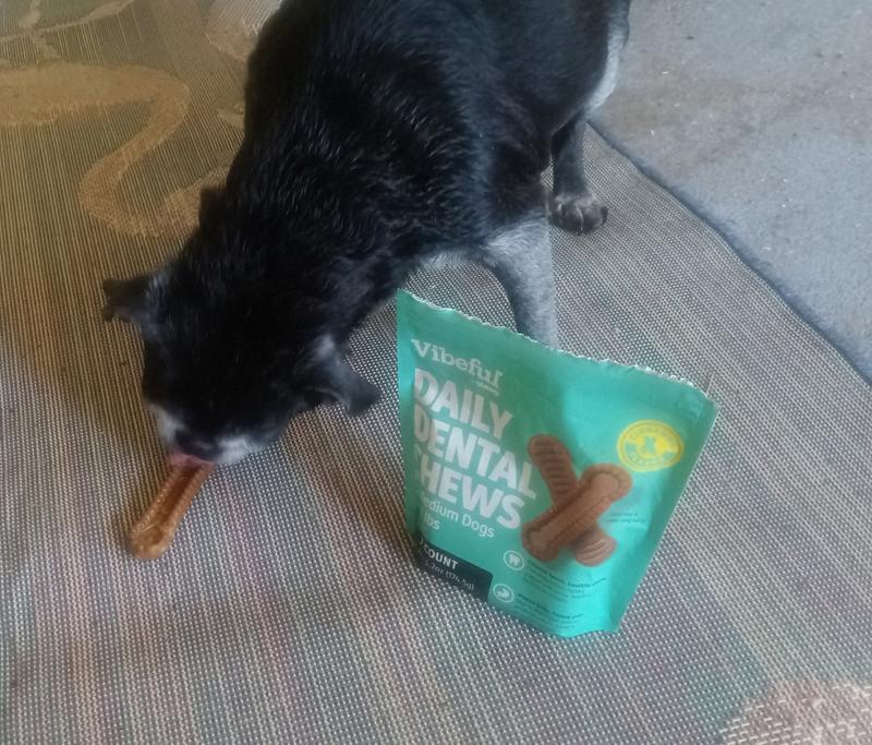 Cheech checking it out