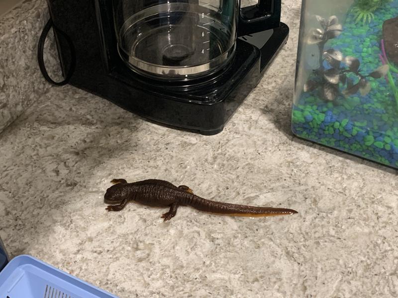 Squirt - 19 1/2 years old!