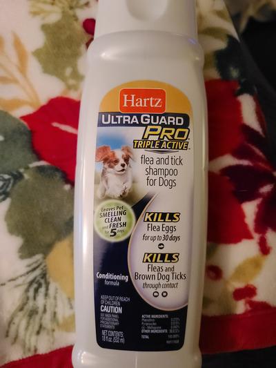 Hartz Ultra Guard Pro Triple Active Flea & Tick Shampoo for Dogs