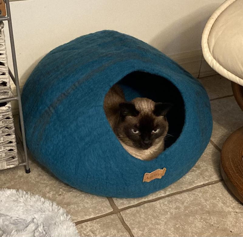 Chewy cat clearance cave