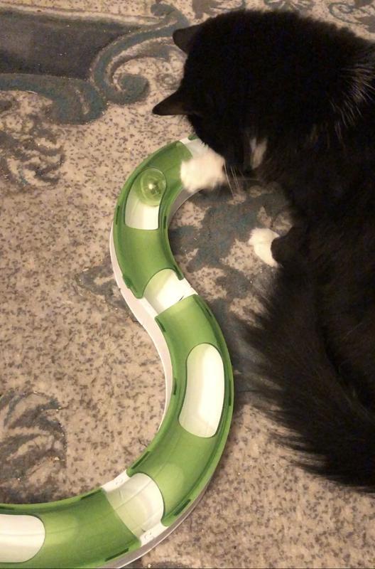 Nina only played once.