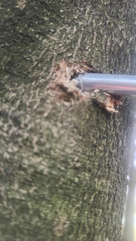 Bent so hard it nearly broke