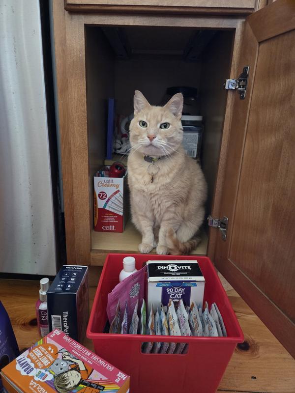 Sammy, guarding his Weruva❣️