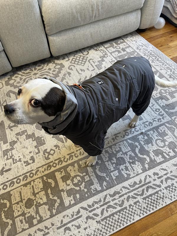HURTTA Extreme Overall Insulated Dog Snowsuit, Blackberry