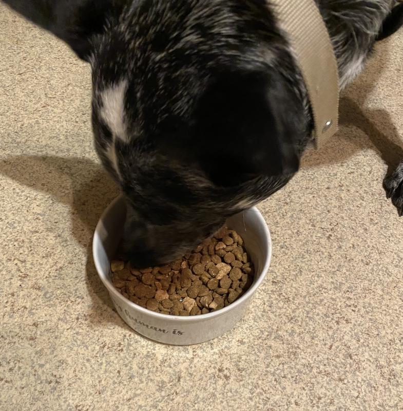 Dinner Time: Enjoyin Instinct