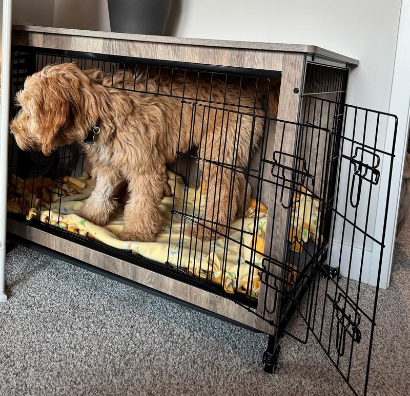 As of right now she has plenty of room to stand up in the crate