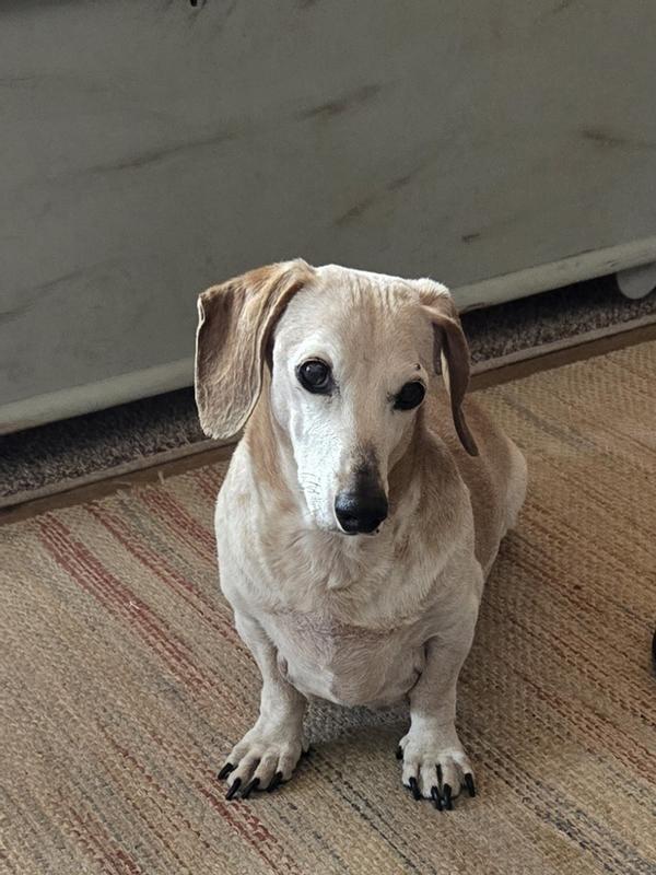 18 years young ❤️