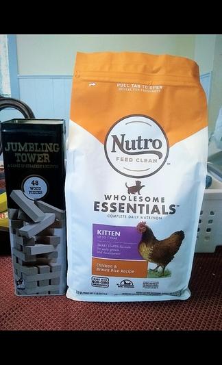 Nutro wholesome hot sale essentials kitten