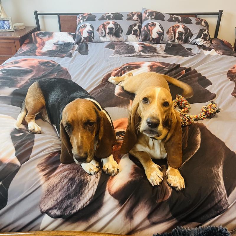 We Love Treats!
