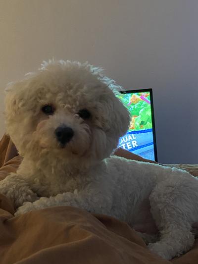 Picky Teddy approved