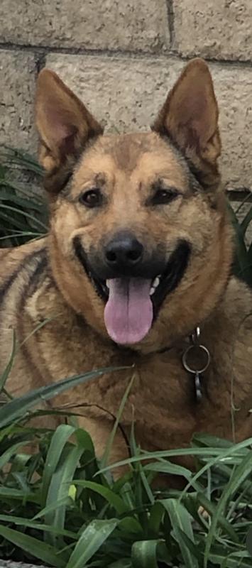 Lexi’s happy smike