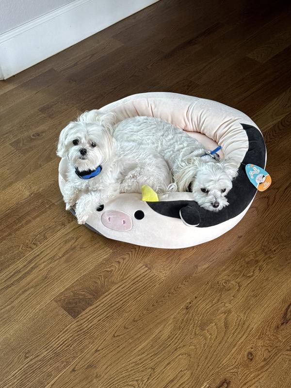 Trying it out before Mom could get the tags off.