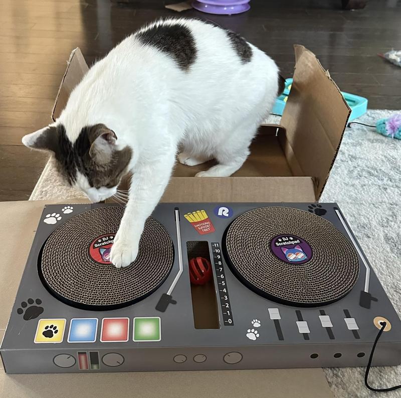 Product Reviews for RELATABLE DJ ScratchPad Cat Scratcher Toy