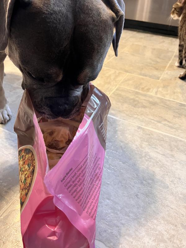 Our Bulldog was very interested in the frozen pouches immediately