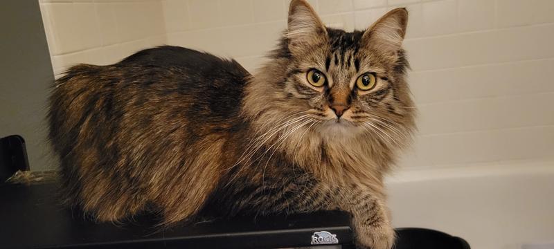 She seems to appreciate the scent!