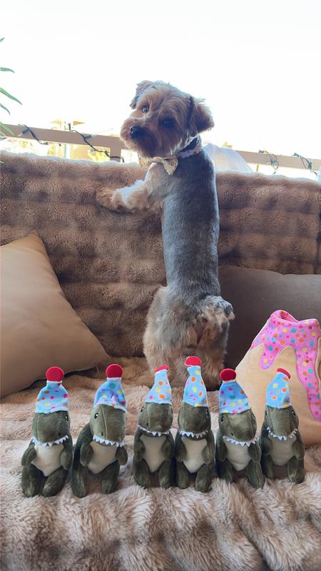 Six little Dino’s for the birthday boy who turned 6!!