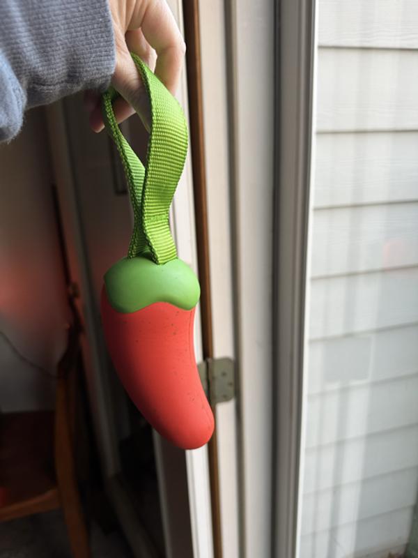 Perfect size with a handle for the human