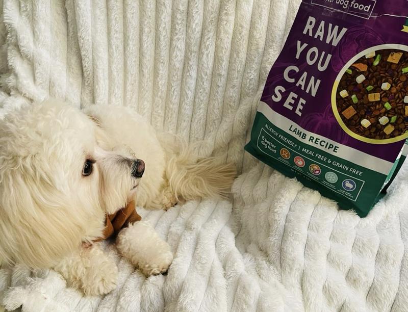 Perry is guarding his new bag of goodies!